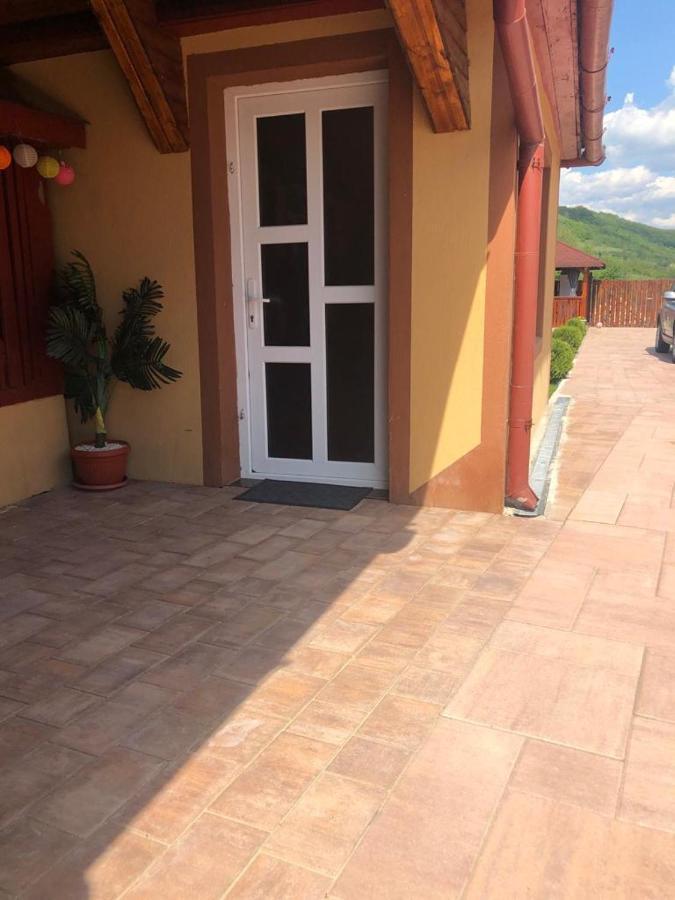 Hotel Casa Alexia Haţeg Exterior foto