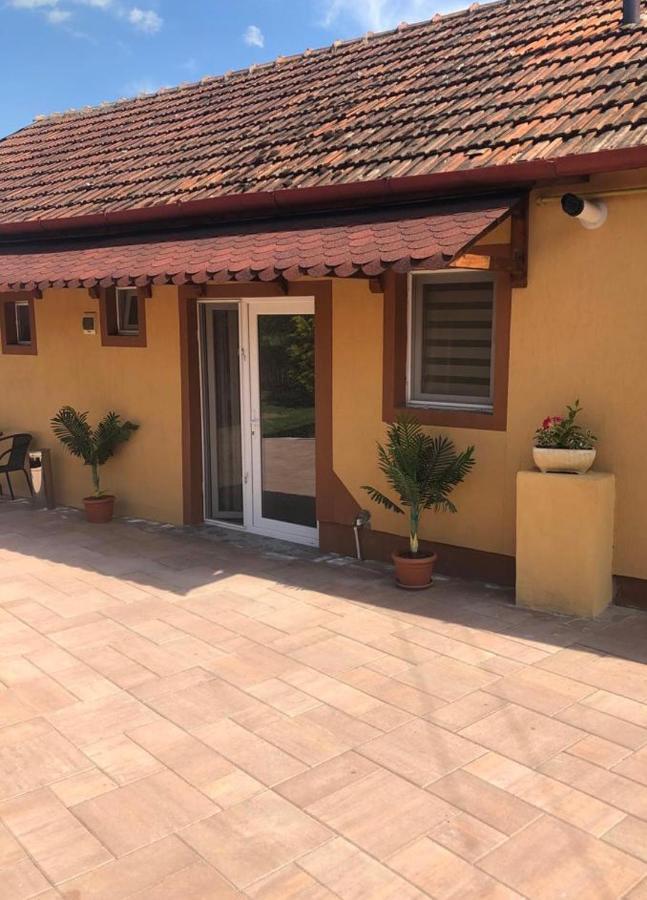 Hotel Casa Alexia Haţeg Exterior foto